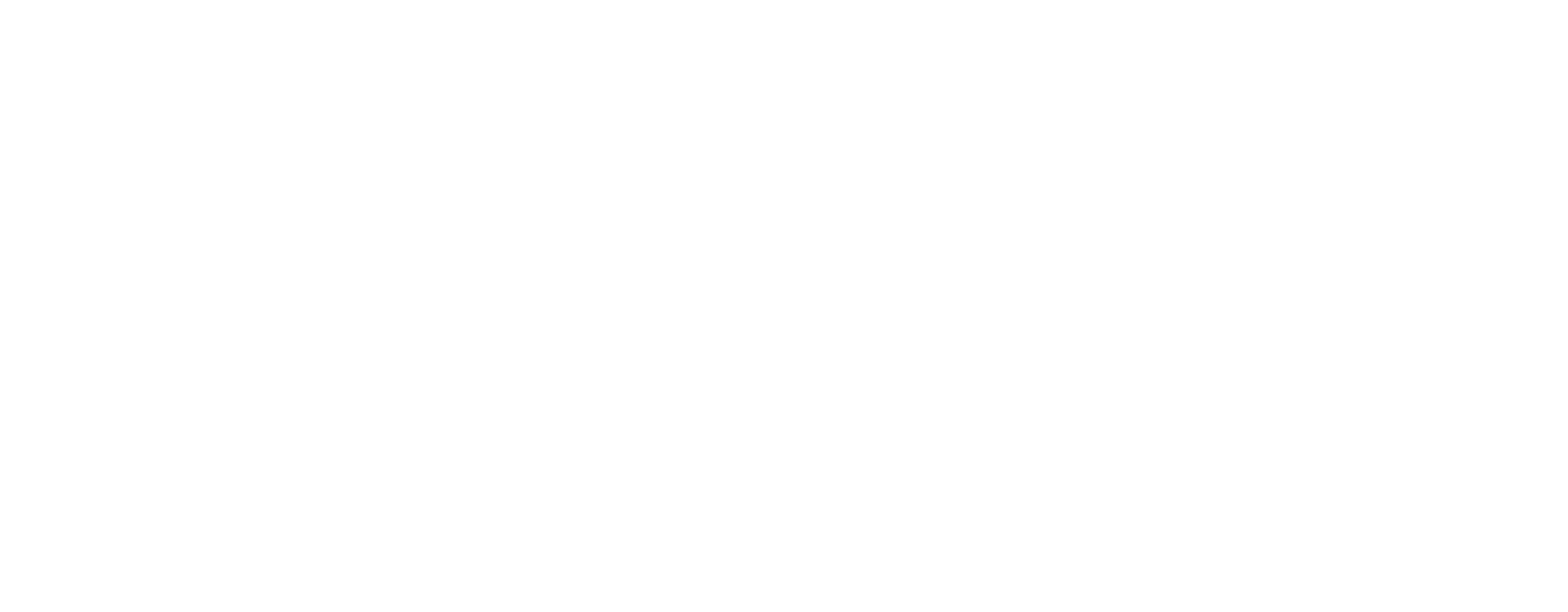 Vero IT